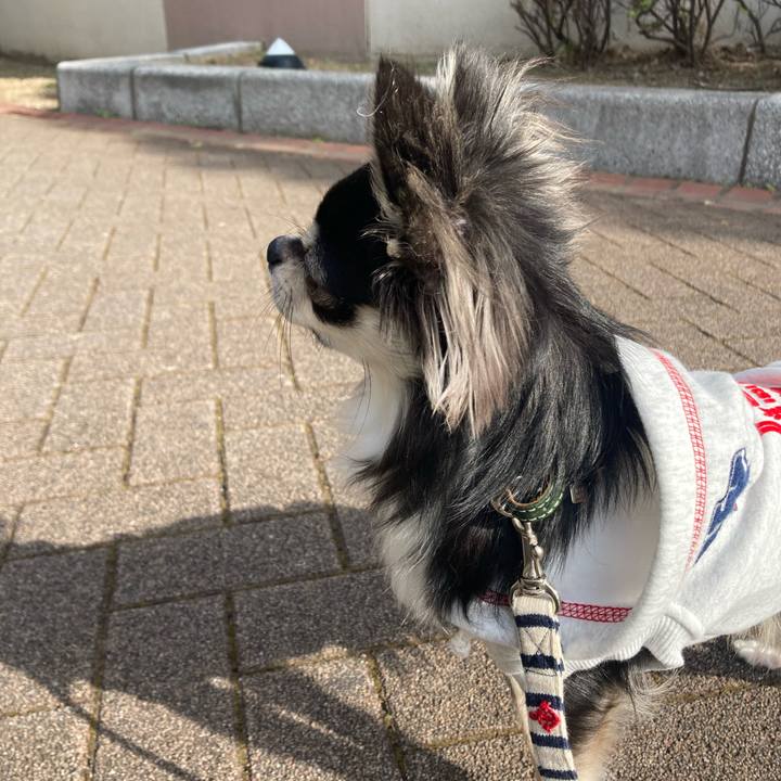 4644e640 a643 4e53 846f f87d72b019e7 1607744449728