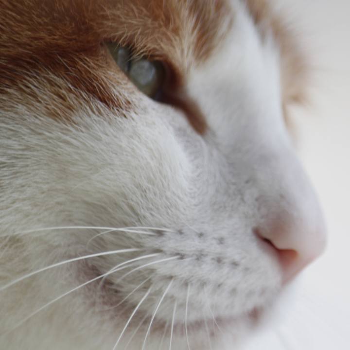 4644f2b3 64ca 4978 9417 1b574e3b9a1a 1518428565091