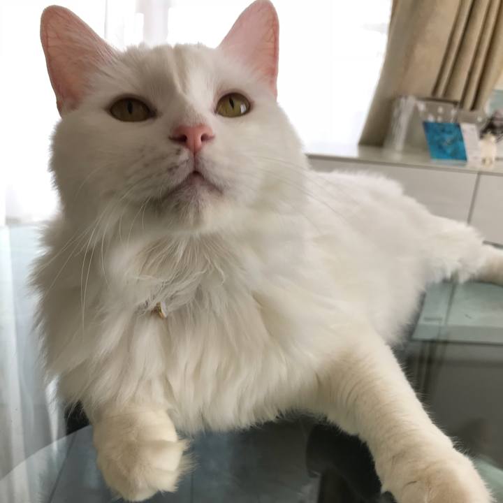 4644fc9d 6d69 4b0c 9116 8ac84492ddd6 1531886673862