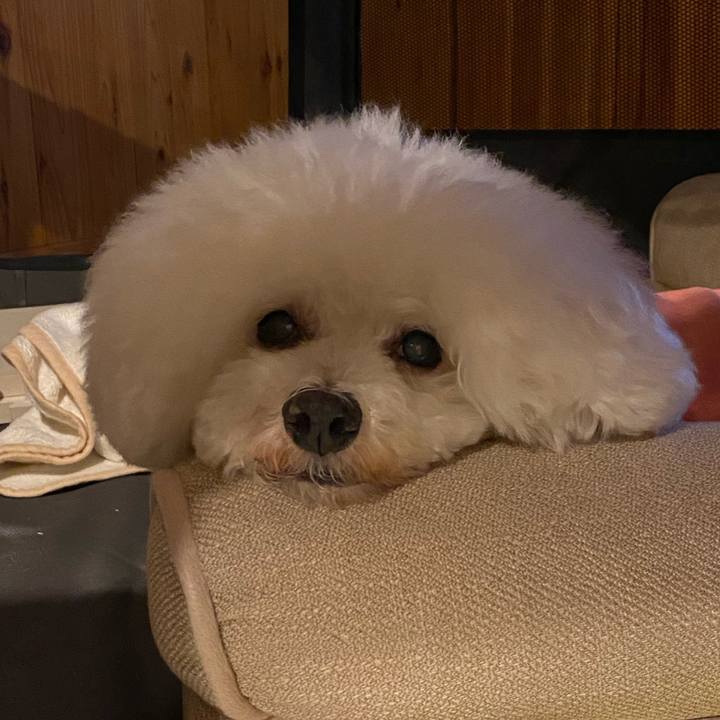 4645256c 98d2 42d9 b001 d24cf5fb8720 1692618520714