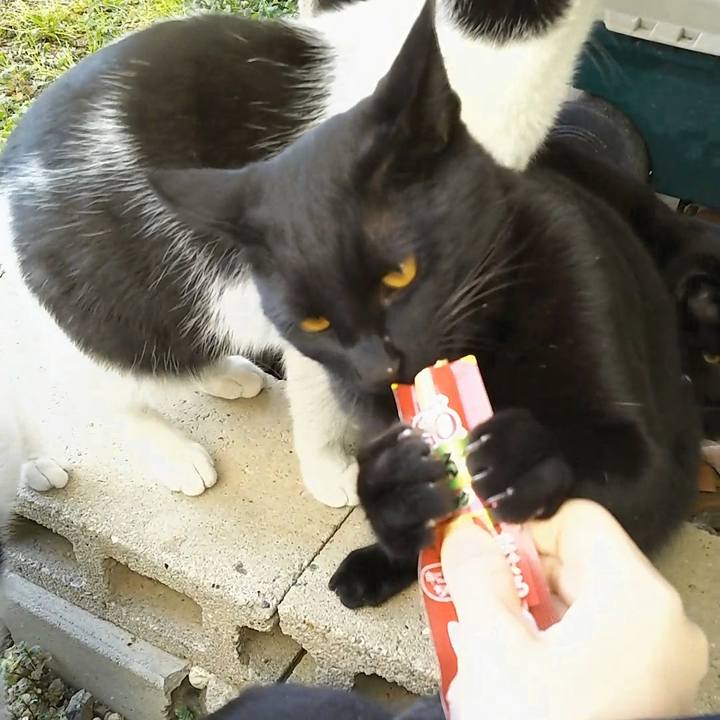 46454f79 3ea3 425b a424 a9e8de7158da 1549436165955