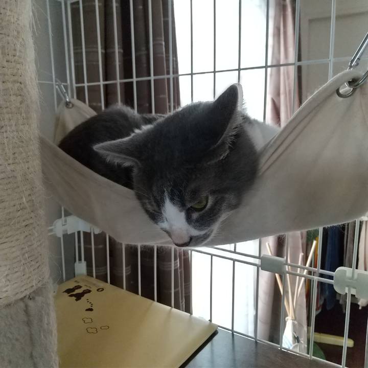 46455b7b abb0 4c78 8aa0 d3b2c74f78bb 1603156925012