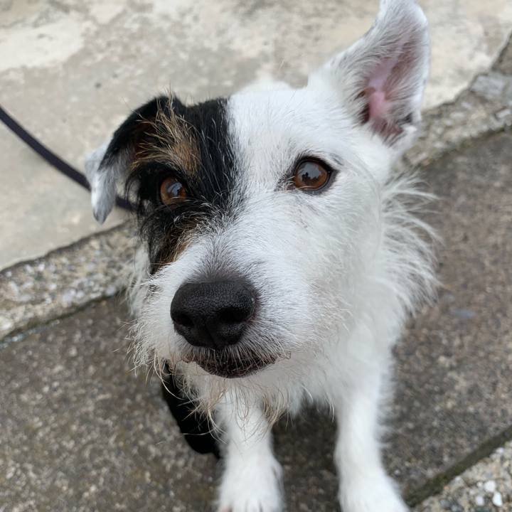 464576b8 4d04 41f4 a3bd 28dc5e6308f7 1655683765664