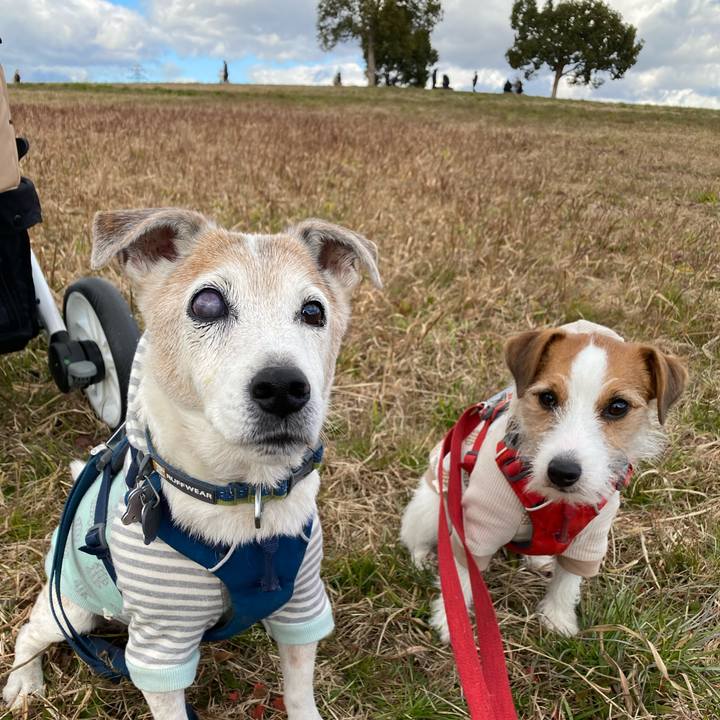 46459da3 7a0e 4d1c 8923 2e3827c394df 1672722123561