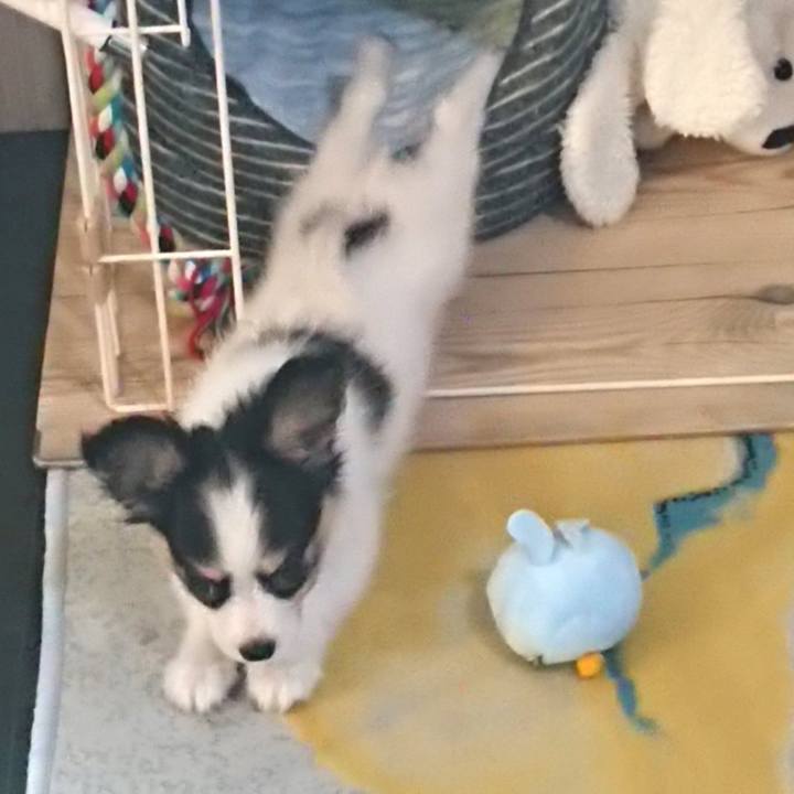 4645b2bc 7799 4898 be13 277cdd57e703 1597063559278