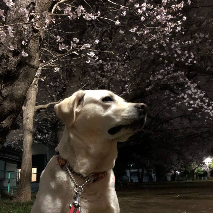 4645b321 344d 4e5c ac7e 3c091fecc675 1648475633360