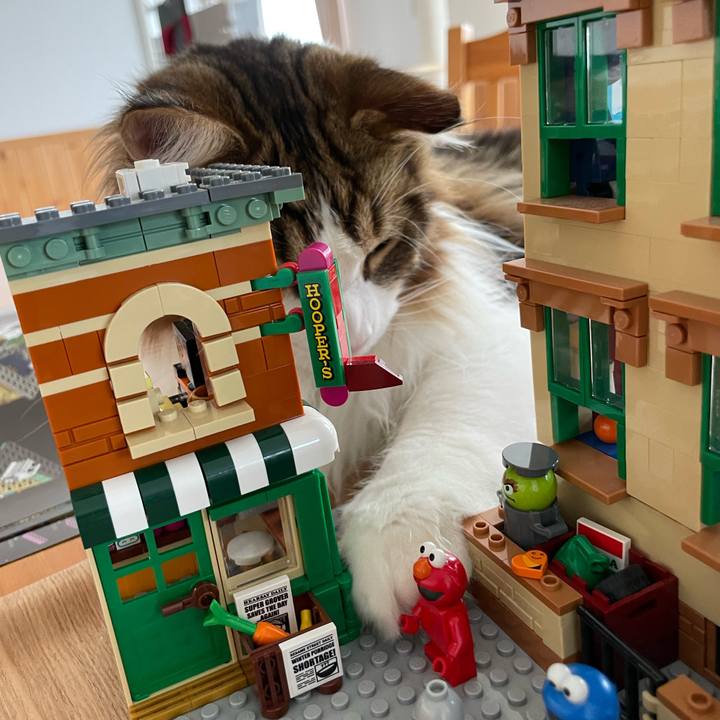 4645bde5 491d 4473 ba5d 59c7d4125005 1657431857567