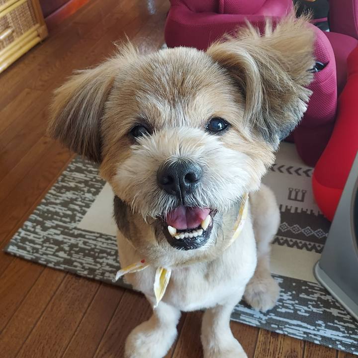 4645ca13 a401 498f bcc2 94beb1a990f8 1658877664482