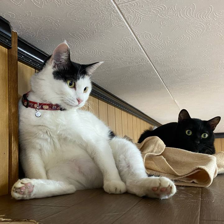 4645cbda 91d6 400b a57c f97cd331ca10 1665823928580