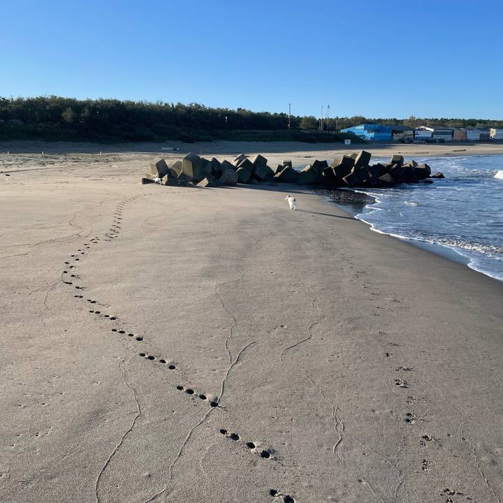 4645cd8f 84f8 4585 829f f6b8773eecad 1729466966481