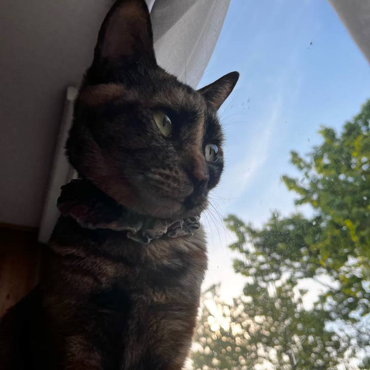 4645d047 ad3b 4248 a58a 0546eaf6fd42 1716325680657