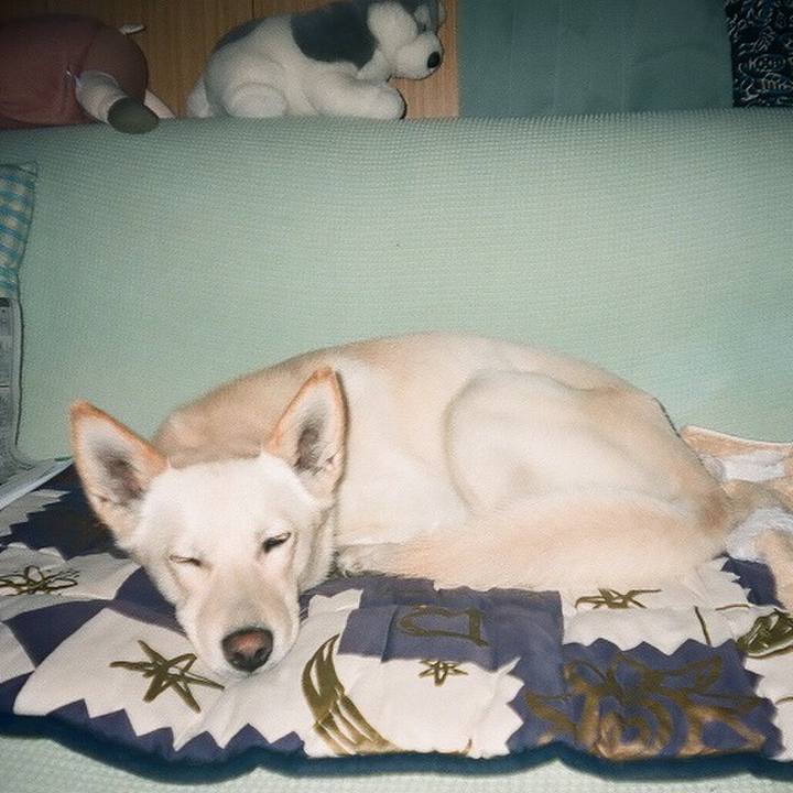 4645df15 eced 41e9 a719 e41172acf6fb 1535197625155