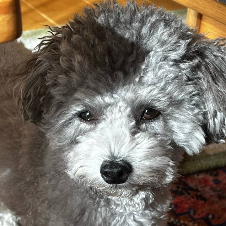 4645e108 2841 4a32 a4da 41fc4e7ee443 1762474268401