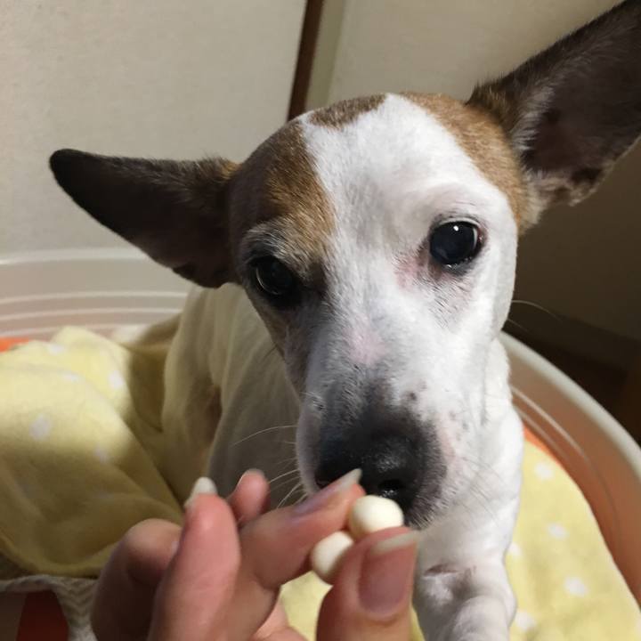 46460fab cd1c 4cef be73 af2a3bfc1baf 1597045729315