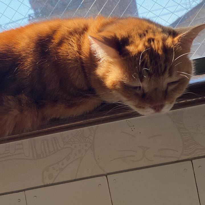 4646242e 2d4e 41f4 a6b9 659511fae11b 1586392216842