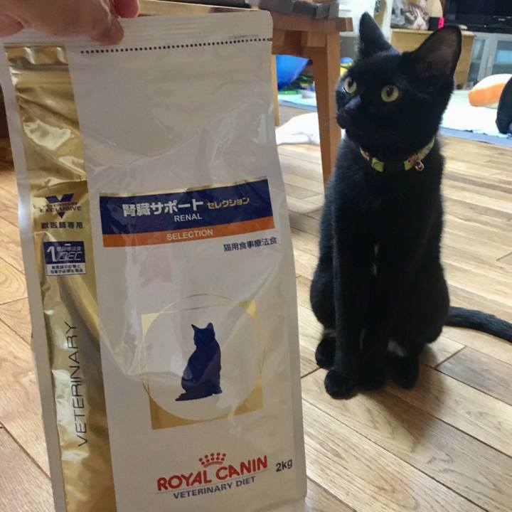 464638b7 1270 465c 972c 01172520ada7 1535724636310