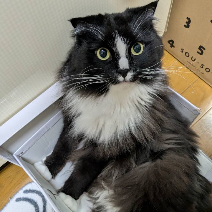 46467257 bad2 4573 bffd 6575dc5fe978 1744471872782