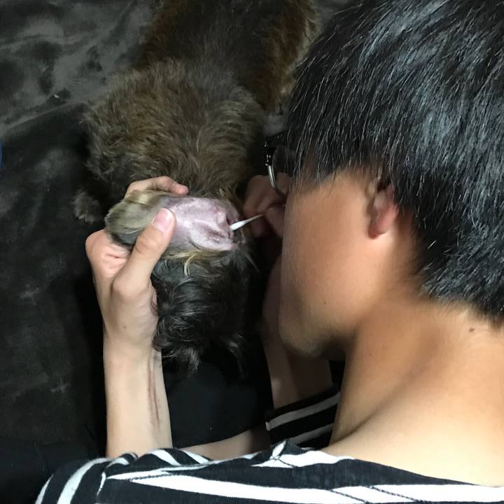 46469464 94bf 4ca1 a29a 6f758c40fdb9 1554131263561