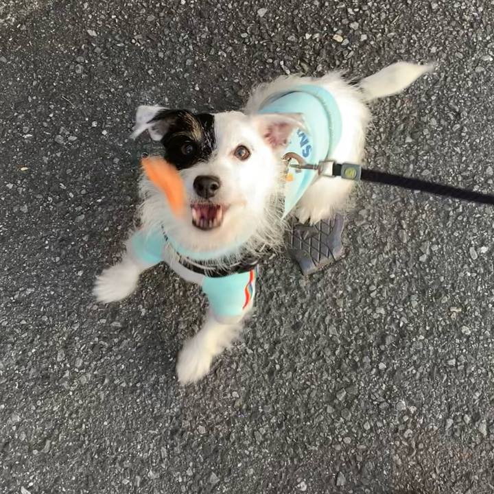 464699bb a163 47cb b97a 028a7dc45123 1667895180044