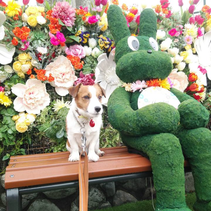 4646f699 7850 40ea a421 9ef72c382b1f 1521529374010