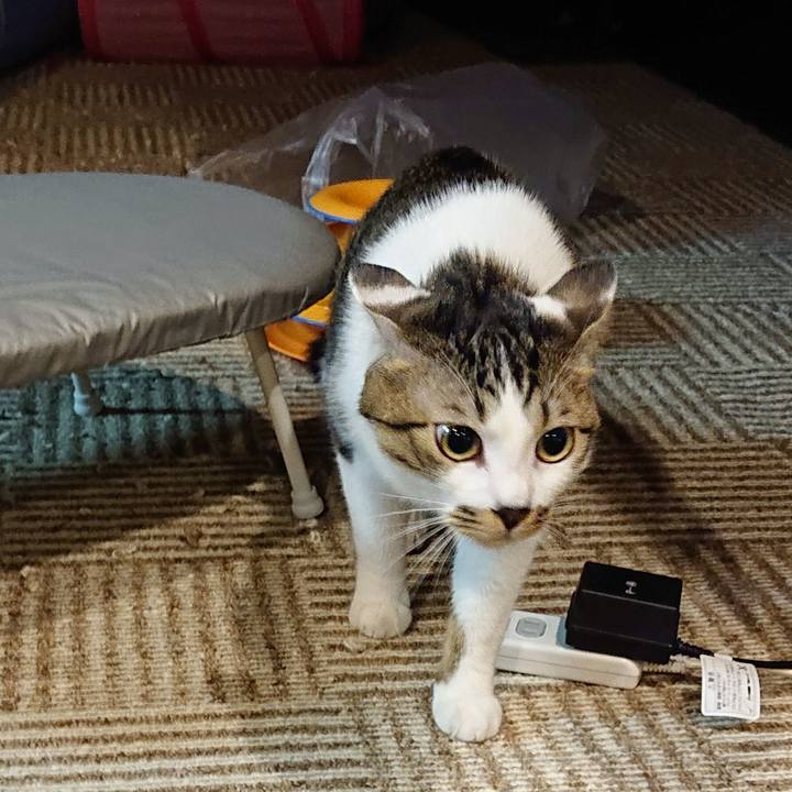 4646fcbc 1acd 49bc b419 743552fba4e5 1572694504586