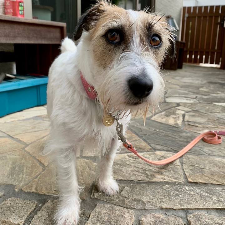 46474226 bd75 4b90 93d1 18e2542ac544 1653036456099