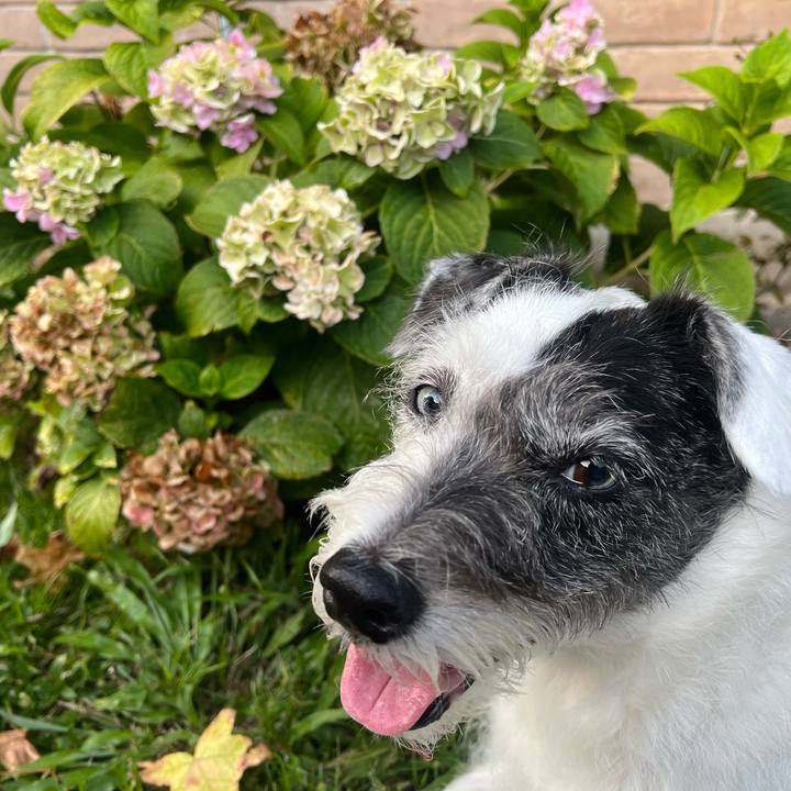 4647467d 1524 499e 9565 b3fdf8fbeb24 1660342971459