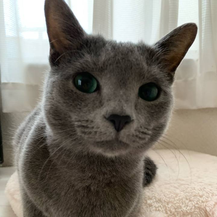 46475ba7 9471 46c6 b9f1 ad1d476fc7f6 1583816450941