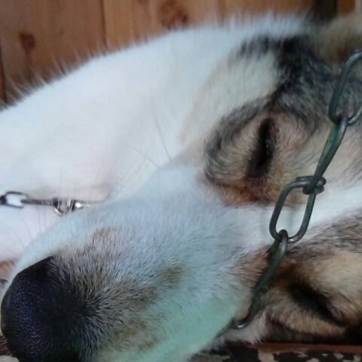 46478d0d 24b1 49eb b2ad a7d3765abc43 1529820558364