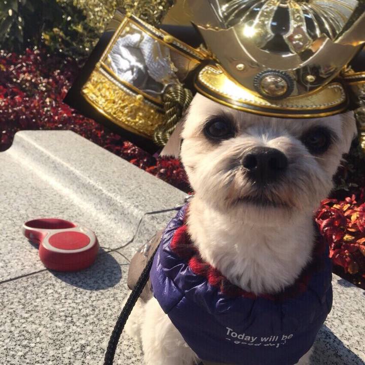 4647aac1 3ca1 453d a51f 464a7a3490bf 1557019432433