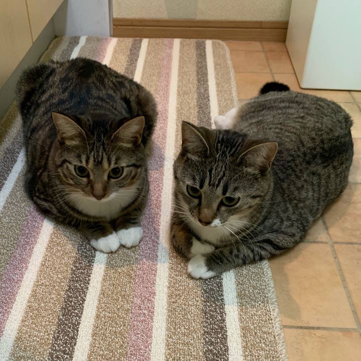 4647cfe4 58b4 4a64 90b1 2e7fe86aafe7 1548122963947