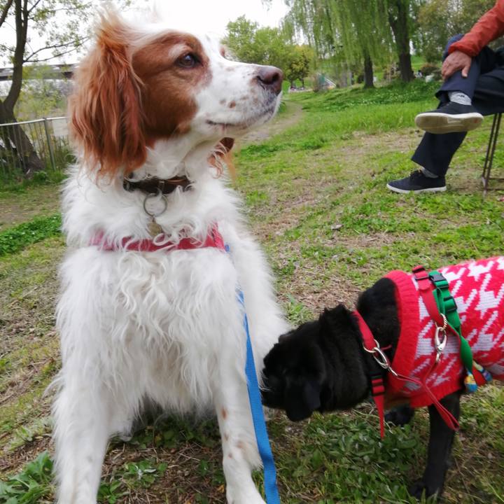 4647e1c4 3ec4 4e44 b06e 499c3d277eee 1617708249098