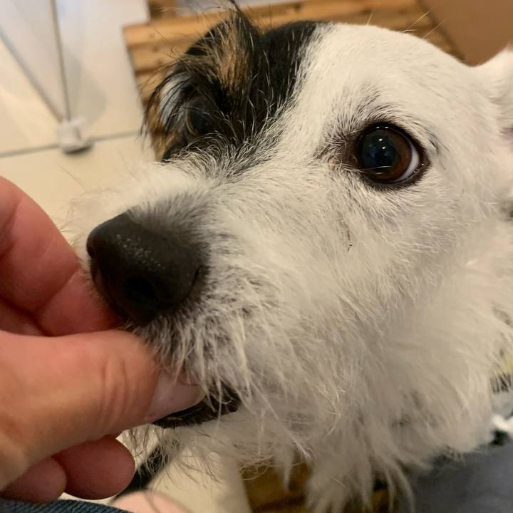 4647fb81 327b 4618 bb53 ded9c2bc178b 1625055107571