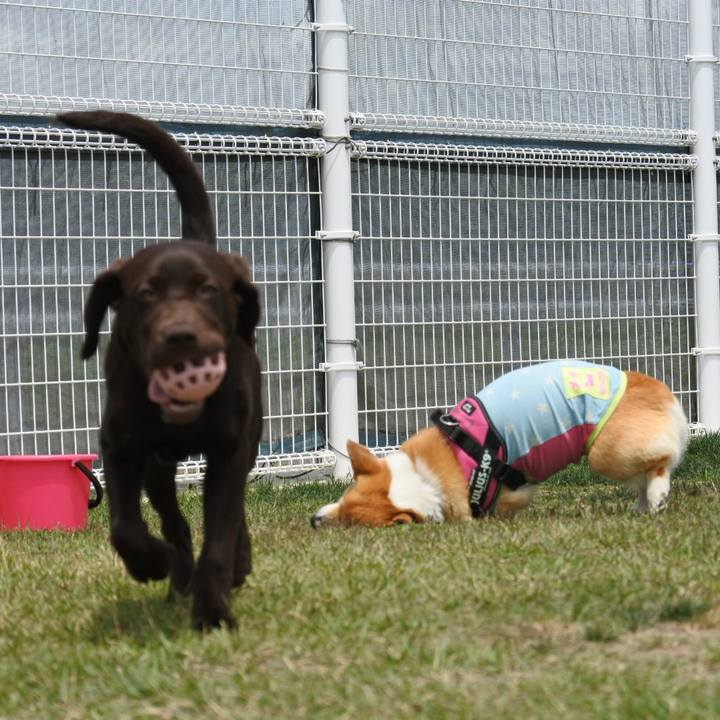 46480683 e8fd 4a88 b25d 251410150ad8 1625379089849