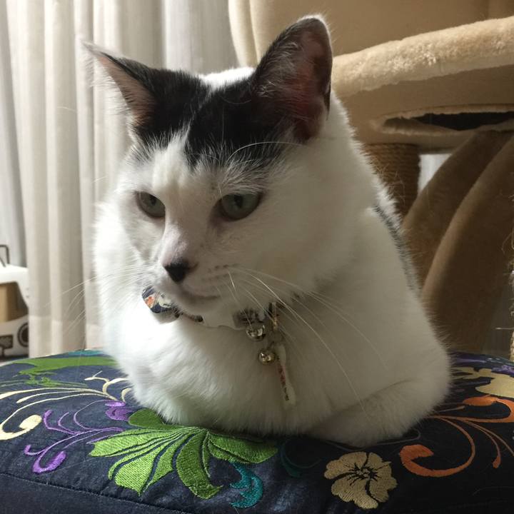 4648094e 265e 42aa 97b7 1d6b2d9f857a 1508748970571