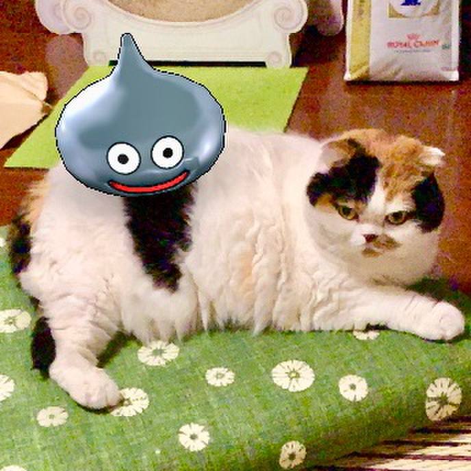 4648152a ced4 4864 8d39 fb7cb82a20a4 1568671948337