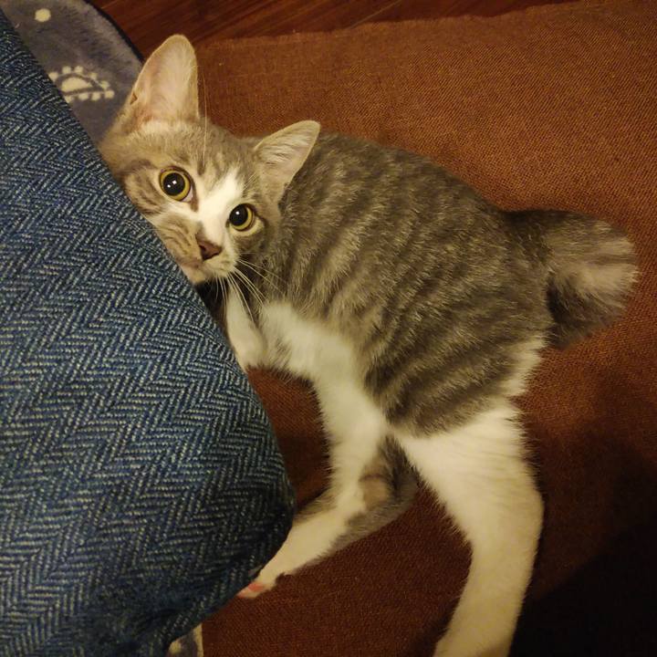 46484b73 e714 48b1 a7e3 a95ec2b2ca96 1566053500306