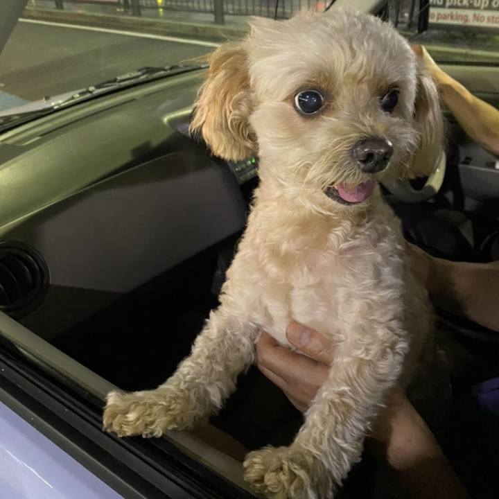 4648571a 289e 4f9f 97d9 082e0a90edd4 1664715736615