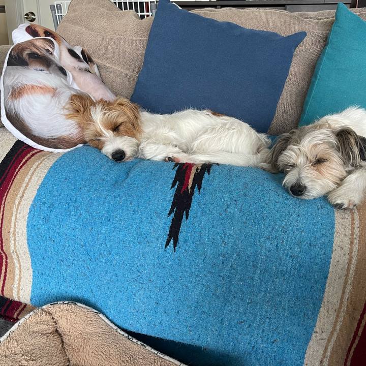 46486879 46b0 4303 b74c 20880c43bf6d 1774961227307