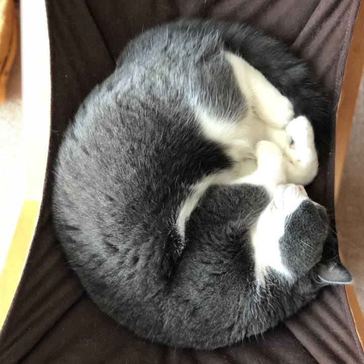 4648ba13 d527 4194 89df 6864c18881af 1547451791899