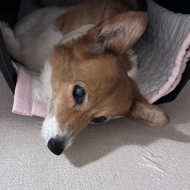 4648f4e1 c4af 4ffc 8944 30edc514b648 1754139971678