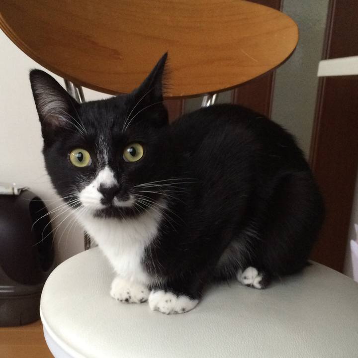 4648fd83 917a 4e68 867b 11c496724471 1508211917306