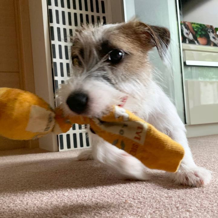 4648fdc5 3a08 4fd0 b1e0 2a2a60c0e0ea 1568611168311