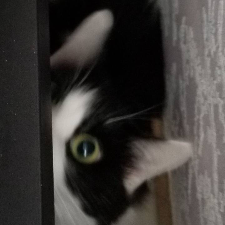 4648feef 85bb 427c 806b eaa0fe2ab8e6 1594476629675