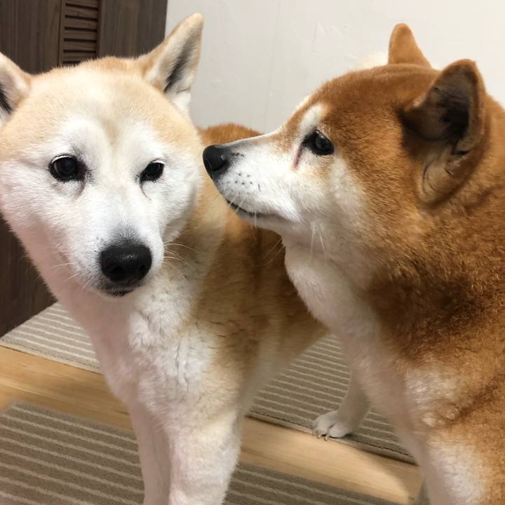 46491cf0 b286 4eed 9cd8 42e812accf39 1553679322366