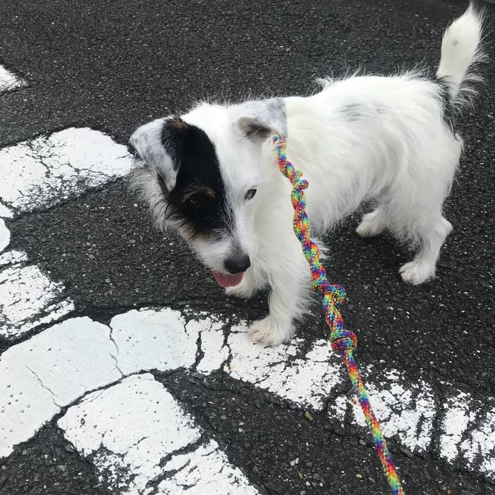 46493428 53ad 4573 83d7 b667a20b8ddc 1536621749484