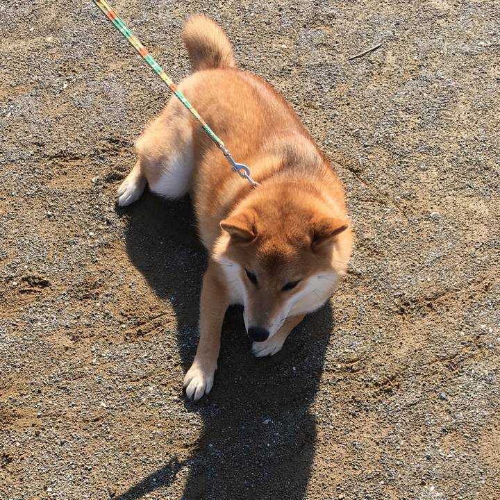 4649480c 62ed 4f00 8a68 73a3692094ed 1583025261072