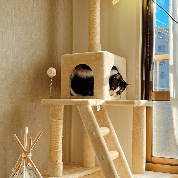 4649498a d11b 40e0 8fa3 3bf24a6841ed 1641277582740