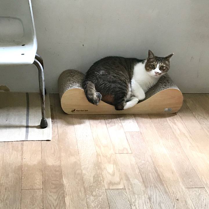 46496b58 e93e 4b12 b365 8f77ea84a997 1564126621043