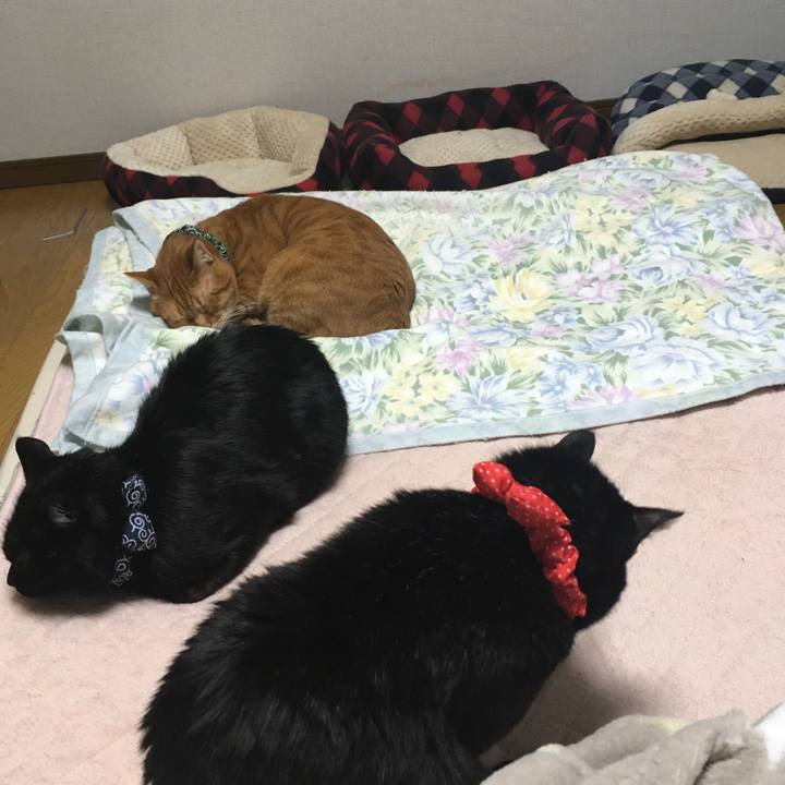 4649745f aea3 4c7c ae1d e691ffea1343 1545567730965